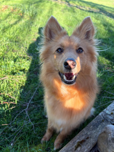 Photo de galerie - Gardiennage 