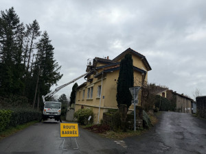 Photo de galerie - Peinture planche de rives 