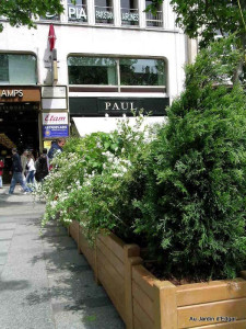 Photo de galerie - Paysagiste - Aménagement du jardin