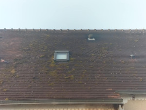 Photo de galerie - Charpente