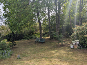 Photo de galerie - 18 ares que nous suivons régulièrement dans son entretien... mais aussi petits aménagements 