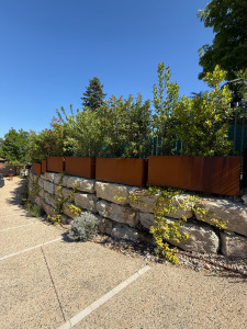 Photo de galerie - Paysagiste - Aménagement du jardin