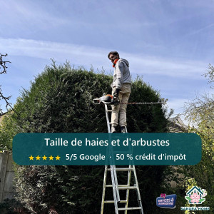 Photo de galerie - Taille-haies