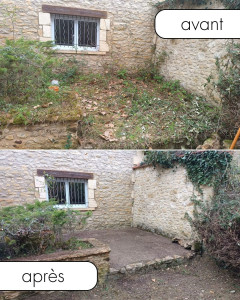 Photo de galerie - Tonte de pelouse - Débroussaillage