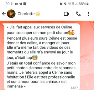 Photo de galerie - Garde chat