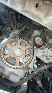 Photo de galerie - Distribution 