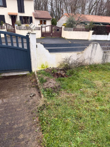 Photo de galerie - Abattage d'un cerisier 