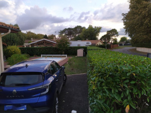 Photo de galerie - Taille de haies et d'arbustes