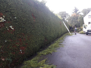 Photo de galerie - Taillage d'une haie 