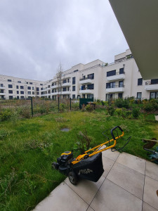 Photo de galerie - Tonte de pelouse 