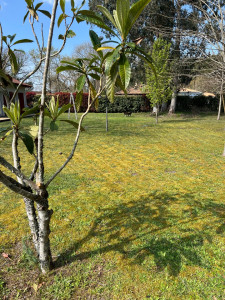 Photo de galerie - Tonte