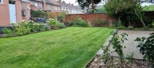 Photo de galerie - Tonte de pelouse - Débroussaillage