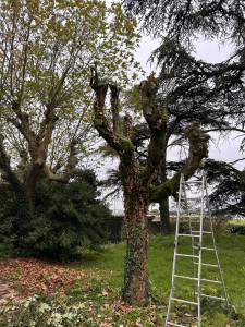 Photo de galerie - Avant