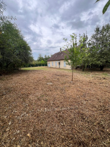 Photo de galerie - Débroussaillage de 1200m2