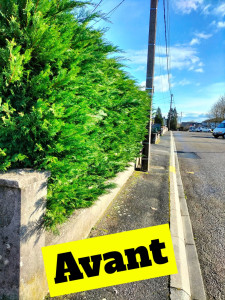 Photo de galerie - Taille de haie,  avant et après 