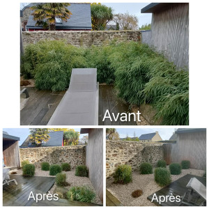 Photo de galerie - Taille de bambou et rajout de galet de la marne 
