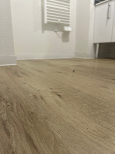Photo de galerie -   : Pose de parquet dans une pièce : rendu fini et soigné