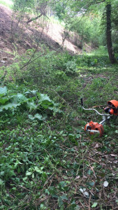 Photo de galerie - Jardinier