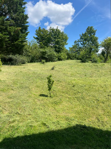 Photo de galerie - Tonte de pelouse - Débroussaillage