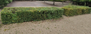 Photo de galerie - Après.
