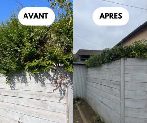 Photo de galerie - Taille haies 