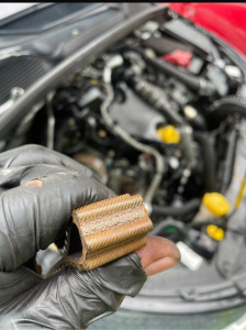 Photo de galerie - Distribution  DCI 86 ch 