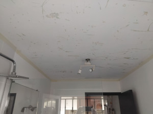 Photo de galerie - Réalisation de rénovation  plafond d une salle de bain 