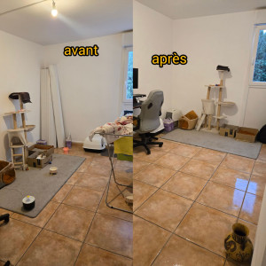 Photo de galerie - Nettoyage de la pièce où séjournent 3 chats, nettoyage complet de la moquette, des meubles pour animaux, élimination des poils, nettoyage des sols et rangement général.