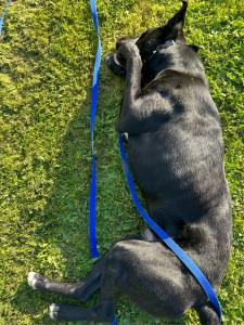 Photo de galerie - Lucky 