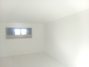 Photo de galerie - Peinture - Tapisserie