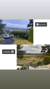 Photo de galerie - Surprissions d’une haie de thuya pour remplacer par des panneaux en bois 