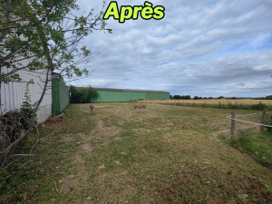 Photo de galerie - Après : Débroussaillage d'un prés de 2000 m2