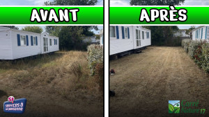 Photo de galerie - Néttoyage terrain sur un camping