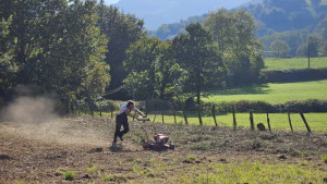 Photo de galerie - Débroussaillage de 1300 mètres carrés de ronciers
