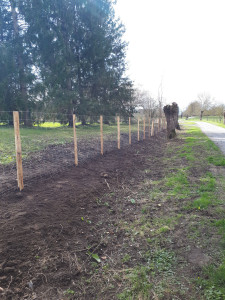 Photo de galerie - Paysagiste - Aménagement du jardin