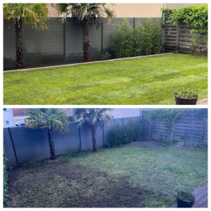 Photo de galerie - Avant / après gazon rouleaux 