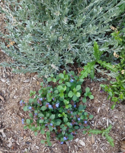 Photo de galerie - Paysagiste - Aménagement du jardin