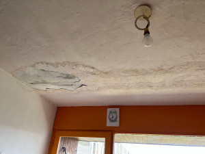 Photo de galerie - Peinture - Tapisserie