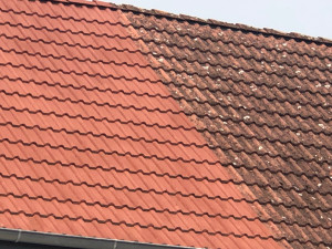 Photo de galerie - Nettoyage de toiture 