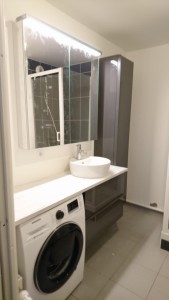 Photo de galerie - Aménagement salle de bain avec plan de travail branchement de machine à laver et lavabo