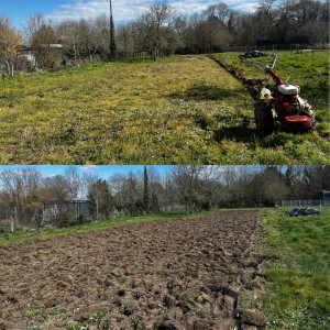 Photo de galerie - Paysagiste - Aménagement du jardin