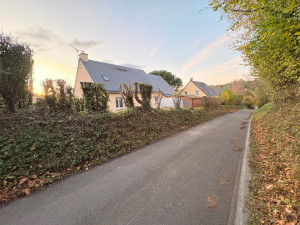 Photo de galerie - Rabattage d’une haie de noisetiers