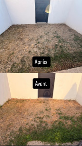 Photo de galerie - Désherbage d’un petit jardin 