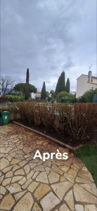 Photo de galerie - Taille de haies et d'arbustes