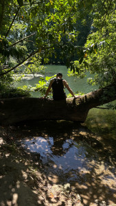 Photo de galerie - Savoir faire de bonne photo