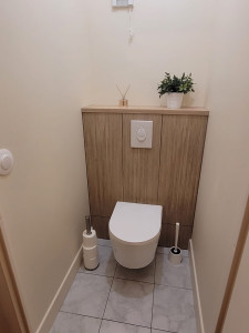 Photo de galerie - Remplacement d’un vieux WC par un bâti support et pose du placo plâtre