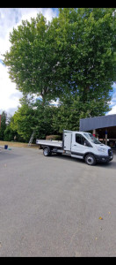 Photo de galerie - Taille de deux platanes 