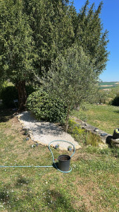 Photo de galerie - Paysagiste - Aménagement du jardin