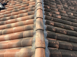 Photo de galerie - Nettoyage de toiture 