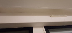 Photo de galerie - Avant la pose 